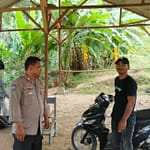 WhatsApp Image 2024-08-11 at 09.44.35