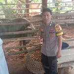 WhatsApp Image 2024-08-13 at 15.46.05