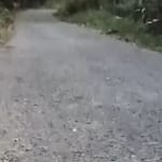 555555555