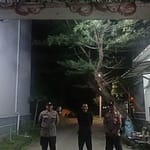 WhatsApp Image 2025-10-04 at 17.01.12