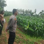 WhatsApp Image 2025-10-06 at 16.54.11