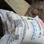 IMG-20251204-WA0113