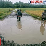 IMG-20260118-WA0049
