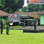 IMG-20260119-WA0010(1)
