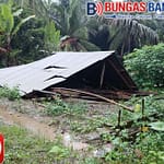 IMG-20260123-WA0053