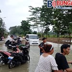 IMG-20260124-WA0053