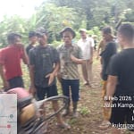 IMG-20260208-WA0117