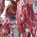 IMG-20260319-WA0179