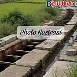 IMG-20260417-WA0101