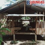 IMG-20260426-WA0009