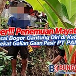 IMG-20260612-WA0186