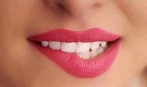 bibir (1)