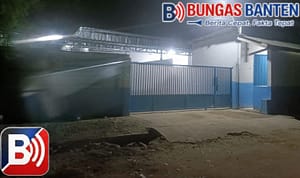 IMG-20260531-WA0133